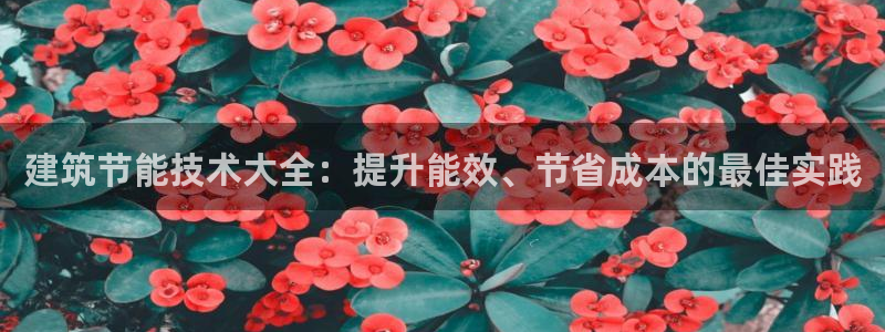 e尊国际网址：建筑节能技术大全：提升能效、节省成本的最佳实践