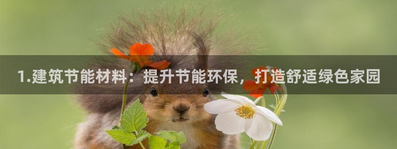 e尊国际是干什么的：1.建筑节能材料：提升节能环保，打造舒适绿色家园