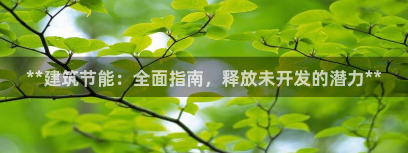 e尊国际7779：**建筑节能：全面指南，释放未开发的潜力**