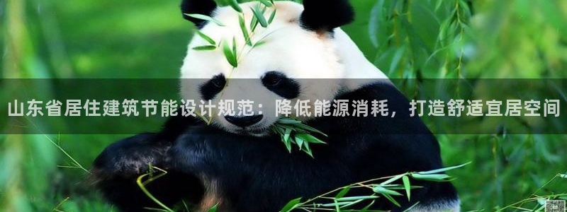e尊国际官方网站：山东省居住建筑节能设计规范：降低能源消耗，打造舒适宜居空间