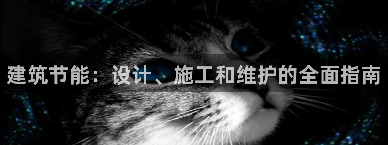 e尊国际7779：建筑节能：设计、施工和维护的全面指南