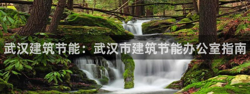 e尊国际客户端：武汉建筑节能：武汉市建筑节能办公室指南