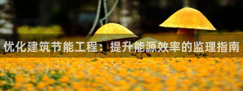 e尊国际客服：优化建筑节能工程：提升能源效率的监理指南