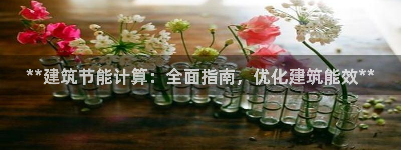 e尊国际7779：**建筑节能计算：全面指南，优化建筑能效**