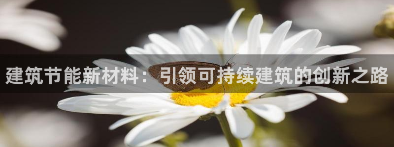 e尊国际客户端：建筑节能新材料：引领可持续建筑的创新之路
