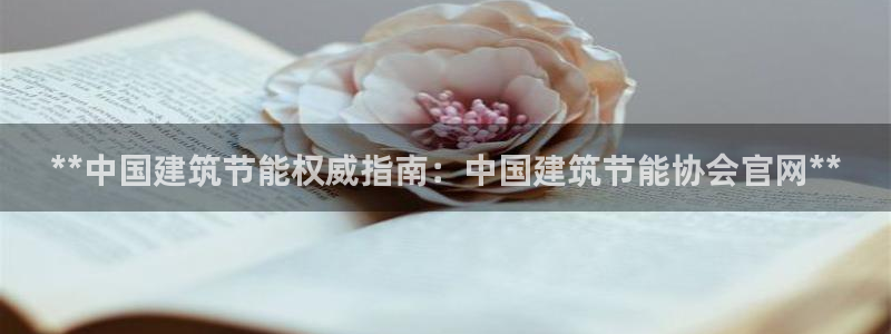 e尊国际客户端下载：**中国建筑节能权威指南：中国建筑节能协会官网**