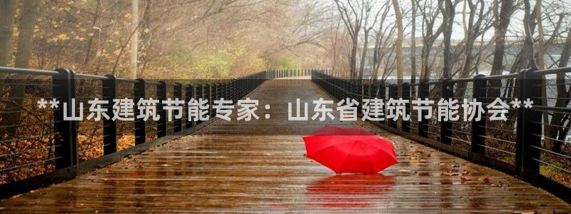 E尊国际：**山东建筑节能专家：山东省建筑节能协会**