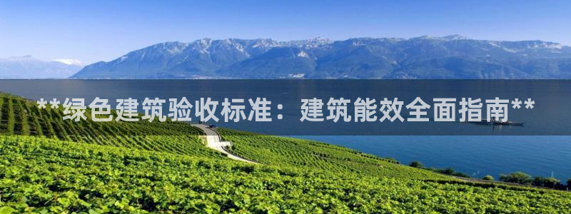 谁知道e尊国际的网址：**绿色建筑验收标准：建筑能效全面指南**