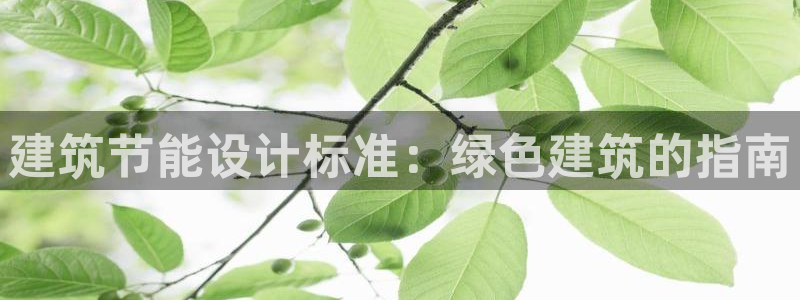 e尊国际的手机登录网站：建筑节能设计标准：绿色建筑的指南