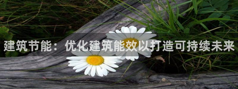 e尊国际平台：建筑节能：优化建筑能效以打造可持续未来