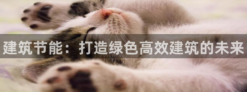 e尊国际客户端：建筑节能：打造绿色高效建筑的未来