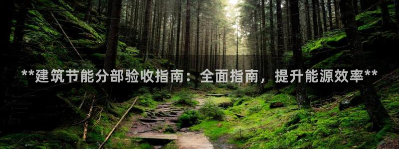 e尊国际客户端下载：**建筑节能分部验收指南：全面指南，提升能源效率**