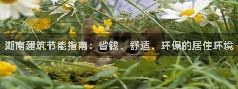 E尊国际网站：湖南建筑节能指南：省钱、舒适、环保的居住环境