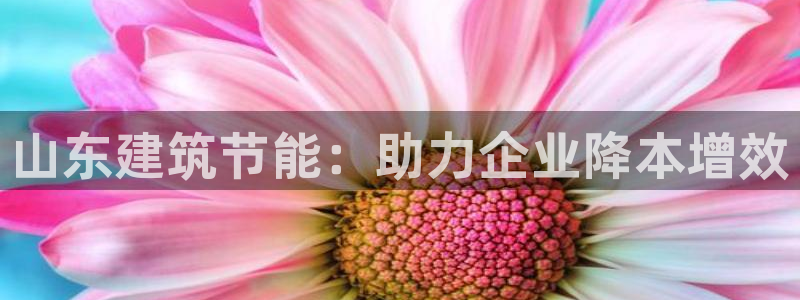 e尊国际官网：山东建筑节能：助力企业降本增效