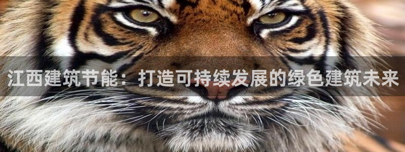 e尊国际的手机登录网站：江西建筑节能：打造可持续发展的绿色建筑未来
