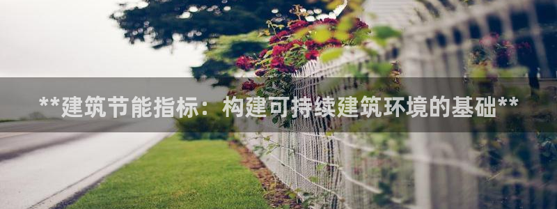 e尊国际平台：**建筑节能指标：构建可持续建筑环境的基础**