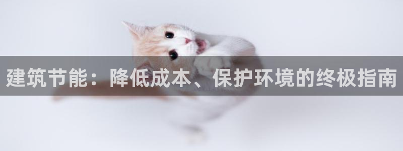 e尊国际官网：建筑节能：降低成本、保护环境的终极指南