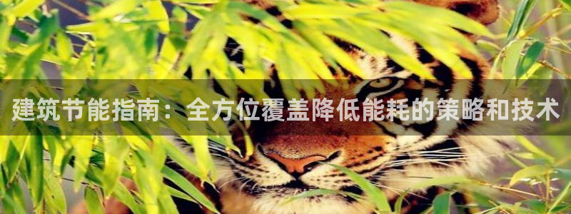 尊亿娱乐国际官网：建筑节能指南：全方位覆盖降低能耗的策略和技术