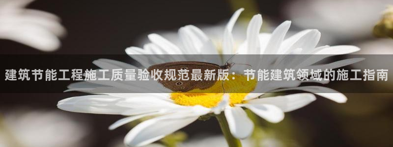 e尊国际客户端：建筑节能工程施工质量验收规范最新版：节能建筑领域的施工指南