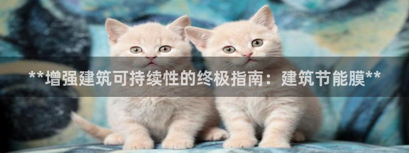 e尊国际客户端下载