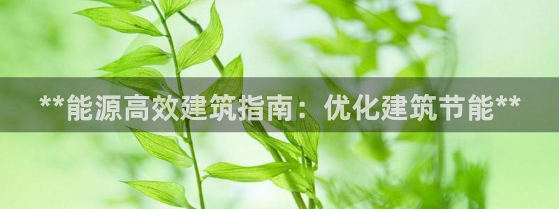 e尊国际娱乐官网地址：**能源高效建筑指南：优化建筑节能**
