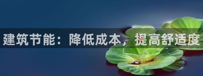 e尊国际客户端：建筑节能：降低成本，提高舒适度