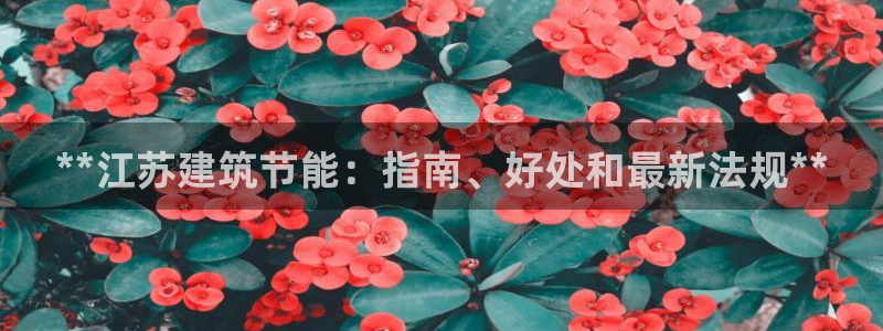 e尊国际娱乐官网下载：**江苏建筑节能：指南、好处和最新法规**