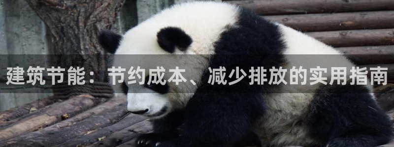 e尊国际网址：建筑节能：节约成本、减少排放的实用指南