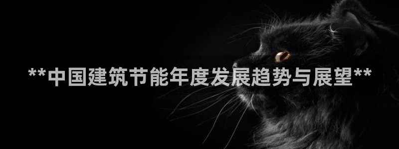 e尊国际平台：**中国建筑节能年度发展趋势与展望**