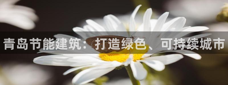 谁知道e尊国际的网址：青岛节能建筑：打造绿色、可持续城市