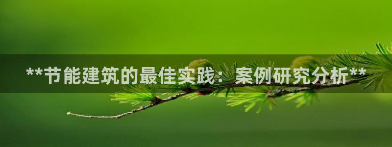 e尊国际娱乐官网下载：**节能建筑的最佳实践：案例研究分析**