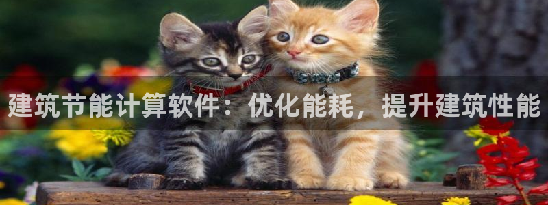 E尊国际网站：建筑节能计算软件：优化能耗，提升建筑性能