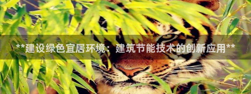 e尊国际是个黑网：**建设绿色宜居环境：建筑节能技术的创新应用**