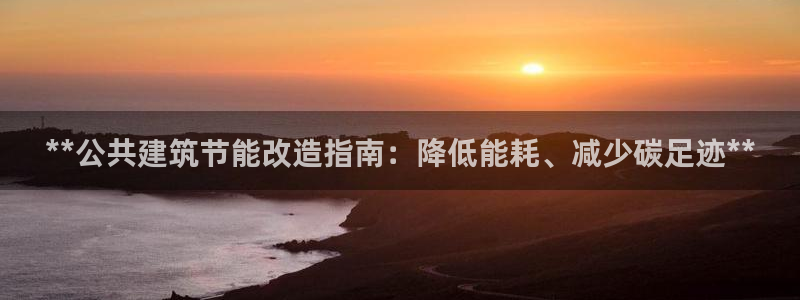 e尊国际是干什么的：**公共建筑节能改造指南：降低能耗、减少碳足迹**