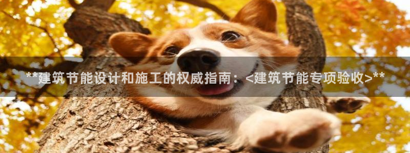 e尊国际是干什么的：**建筑节能设计和施工的权威指南：<建筑节能专项验收>**