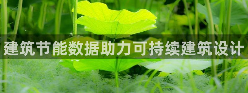 e尊国际7779：建筑节能数据助力可持续建筑设计