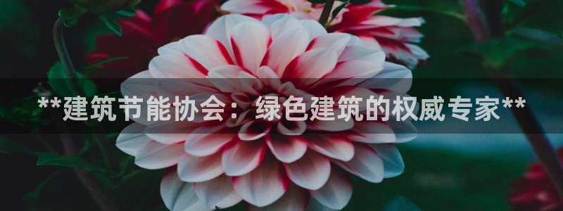e尊国际客户端下载：**建筑节能协会：绿色建筑的权威专家**