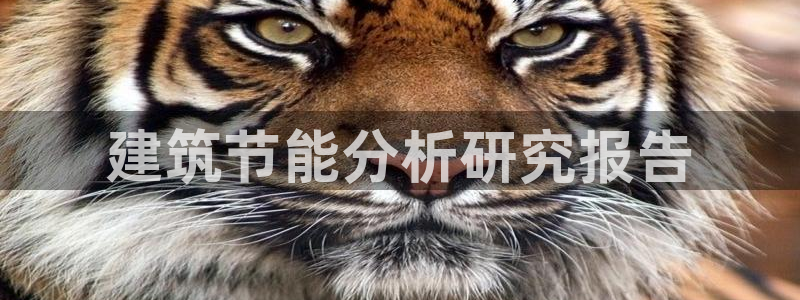 e尊国际是干什么的