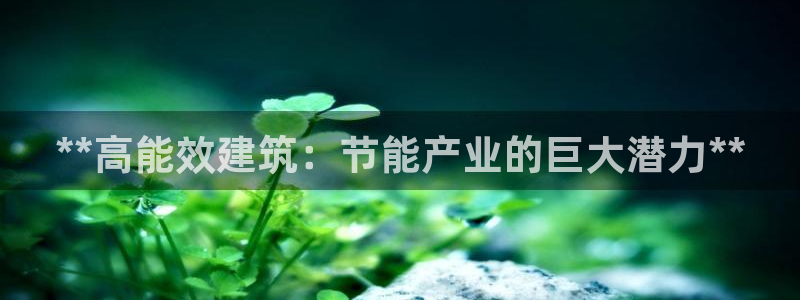 e尊国际官方网站：**高能效建筑：节能产业的巨大潜力**