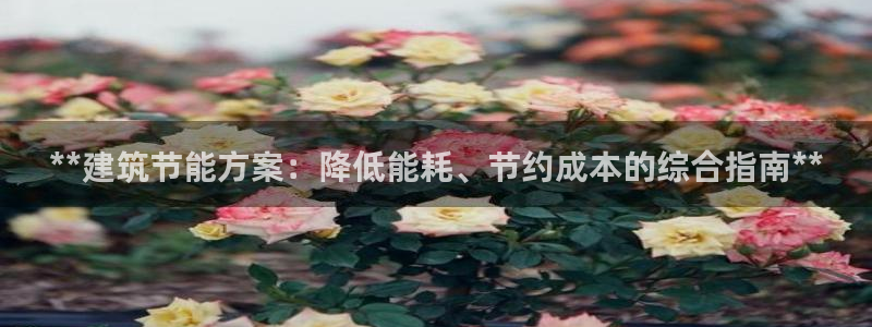 e尊国际是个黑网：**建筑节能方案：降低能耗、节约成本的综合指南**