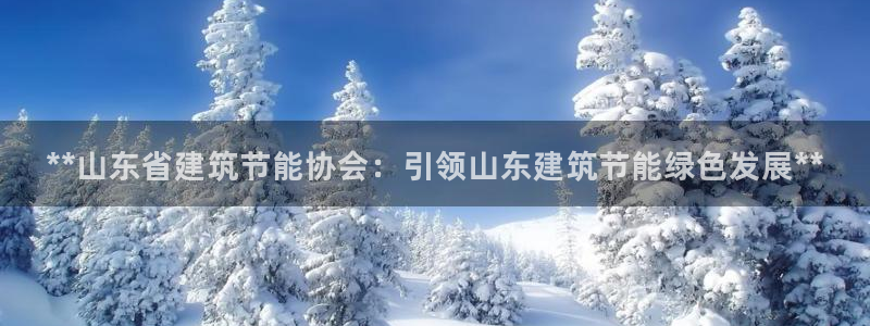 e尊国际官网app：**山东省建筑节能协会：引领山东建筑节能绿色发展**