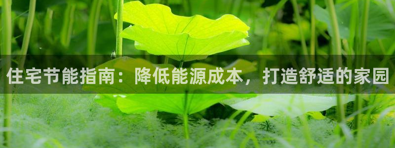 E尊国际：住宅节能指南：降低能源成本，打造舒适的家园