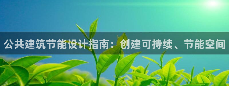 e尊国际娱乐官网下载：公共建筑节能设计指南：创建可持续、节能空间