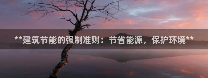 e尊国际平台：**建筑节能的强制准则：节省能源，保护环境**