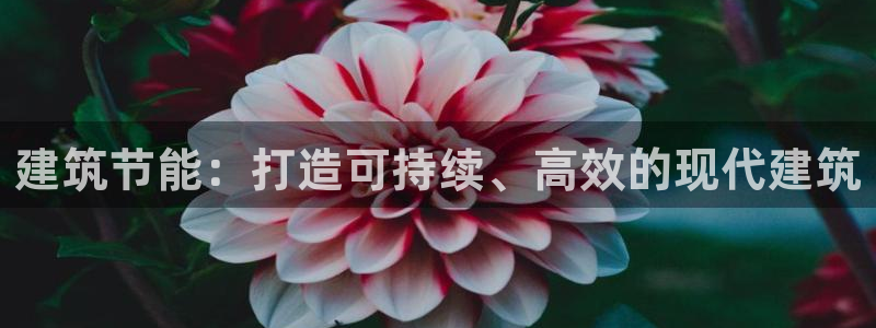 e尊国际app：建筑节能：打造可持续、高效的现代建筑