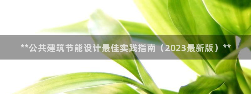e尊国际是干什么的：**公共建筑节能设计最佳实践指南（2023最新版）**
