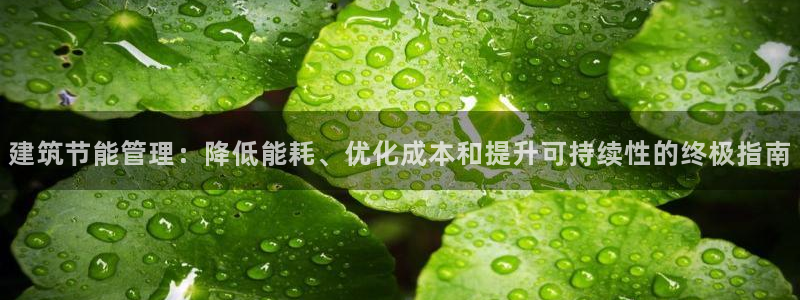 e尊国际-e尊国际官网：建筑节能管理：降低能耗、优化成本和提升可持续性的终极指南