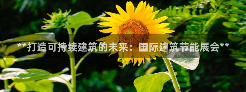 E尊国际网站：**打造可持续建筑的未来：国际建筑节能展会**