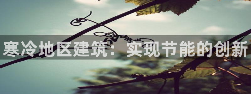 e尊国际-e尊国际官网：寒冷地区建筑：实现节能的创新