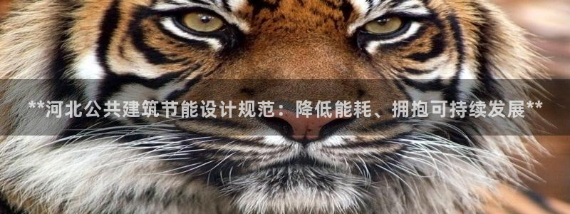 尊亿娱乐国际官网：**河北公共建筑节能设计规范：降低能耗、拥抱可持续发展**